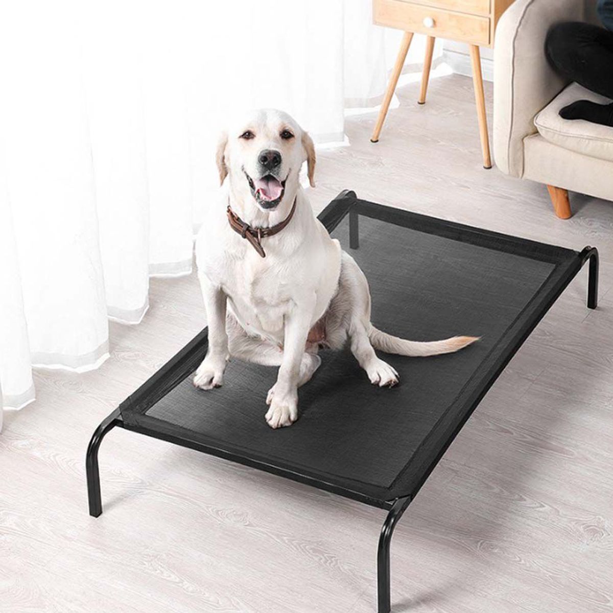 GENERICO - CAMA ELEVADAS PARA MASCOTAS  COJIN TALLA L