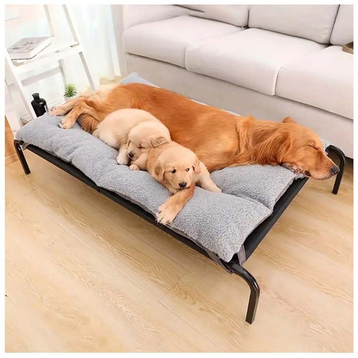 GENERICO - CAMA ELEVADAS PARA MASCOTAS  COJIN TALLA XL