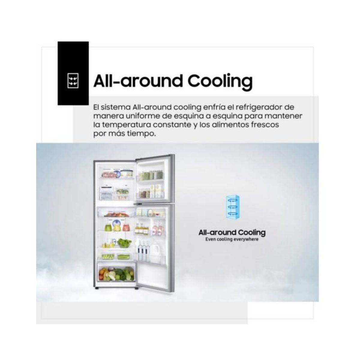 SAMSUNG - Refrigeradora Samsung 234 Lt Top Freezer RT22FARADS8 Inox