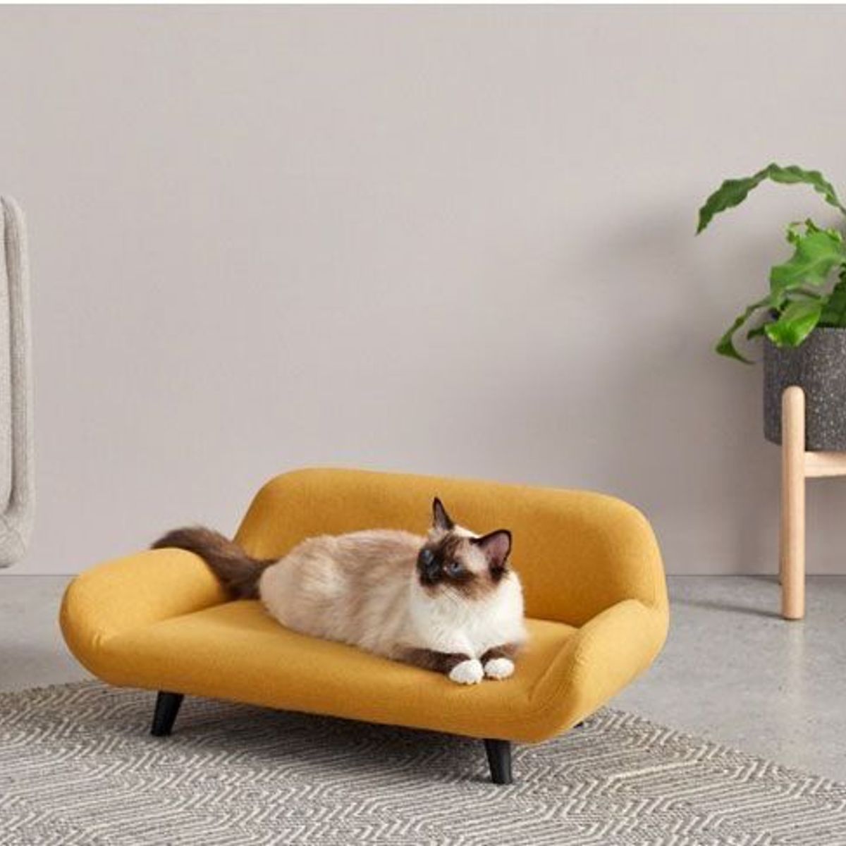 GENERICO - Cama de Gato Bella Amarillo Decoban Hogar