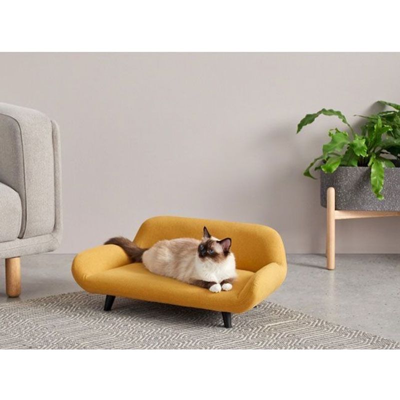 GENERICO - Cama de Gato Bella Amarillo Decoban Hogar