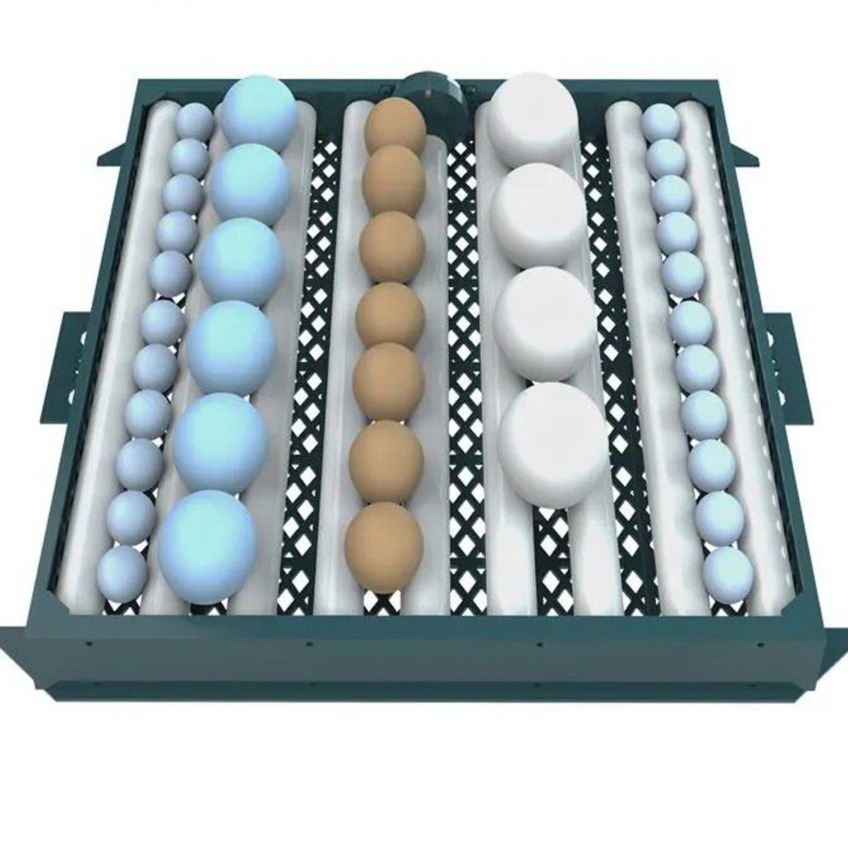 GENERICO - Incubadora Verde Automática Para 64 Huevos Dual 220v-12v