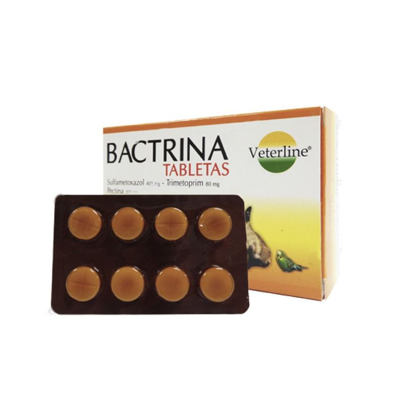 GENERICO - Bactrina Antidiarreico para Perros Blister x8