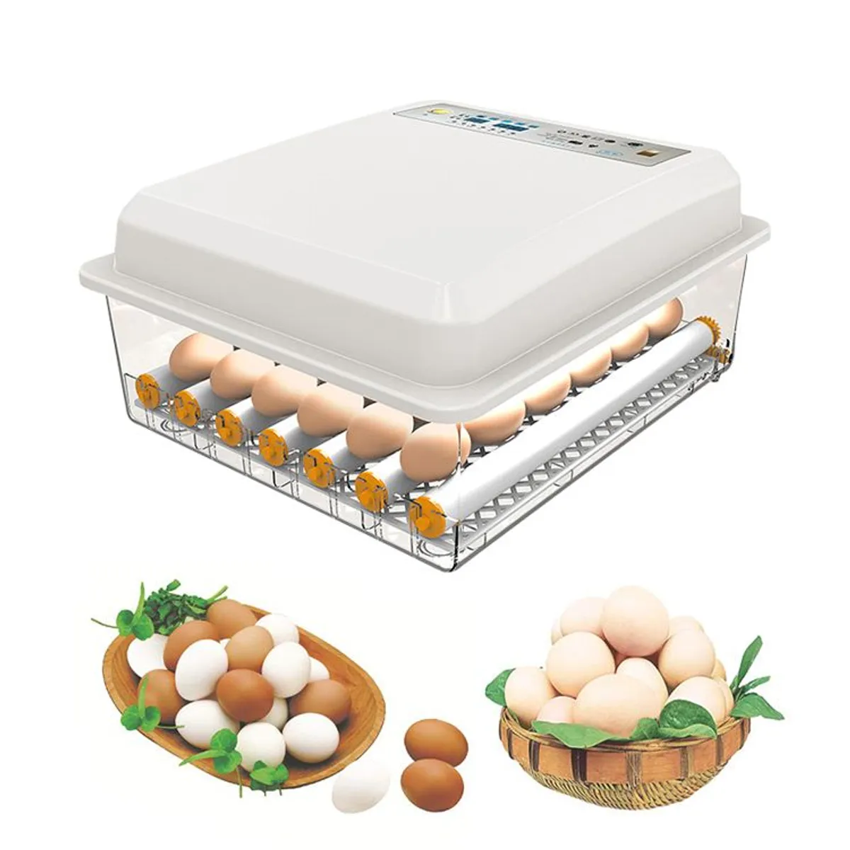 GENERICO - Incubadora Automática de 36 Huevos 220v