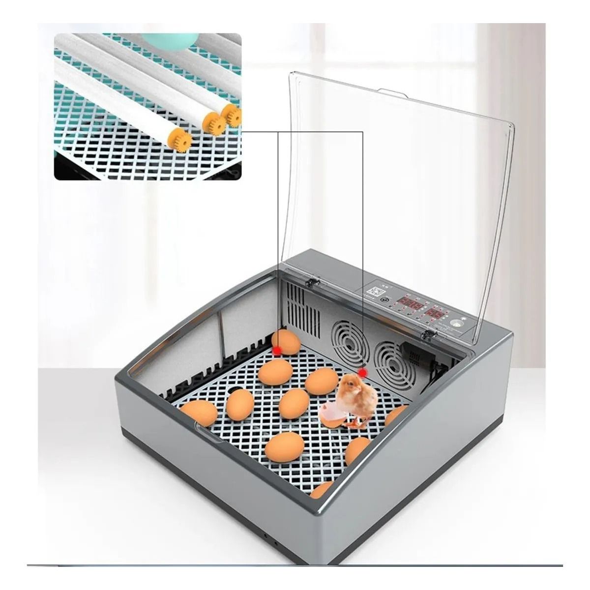 GENERICO - Incubadora  Automática  36 Huevos Dual 220v12v Versión 2022