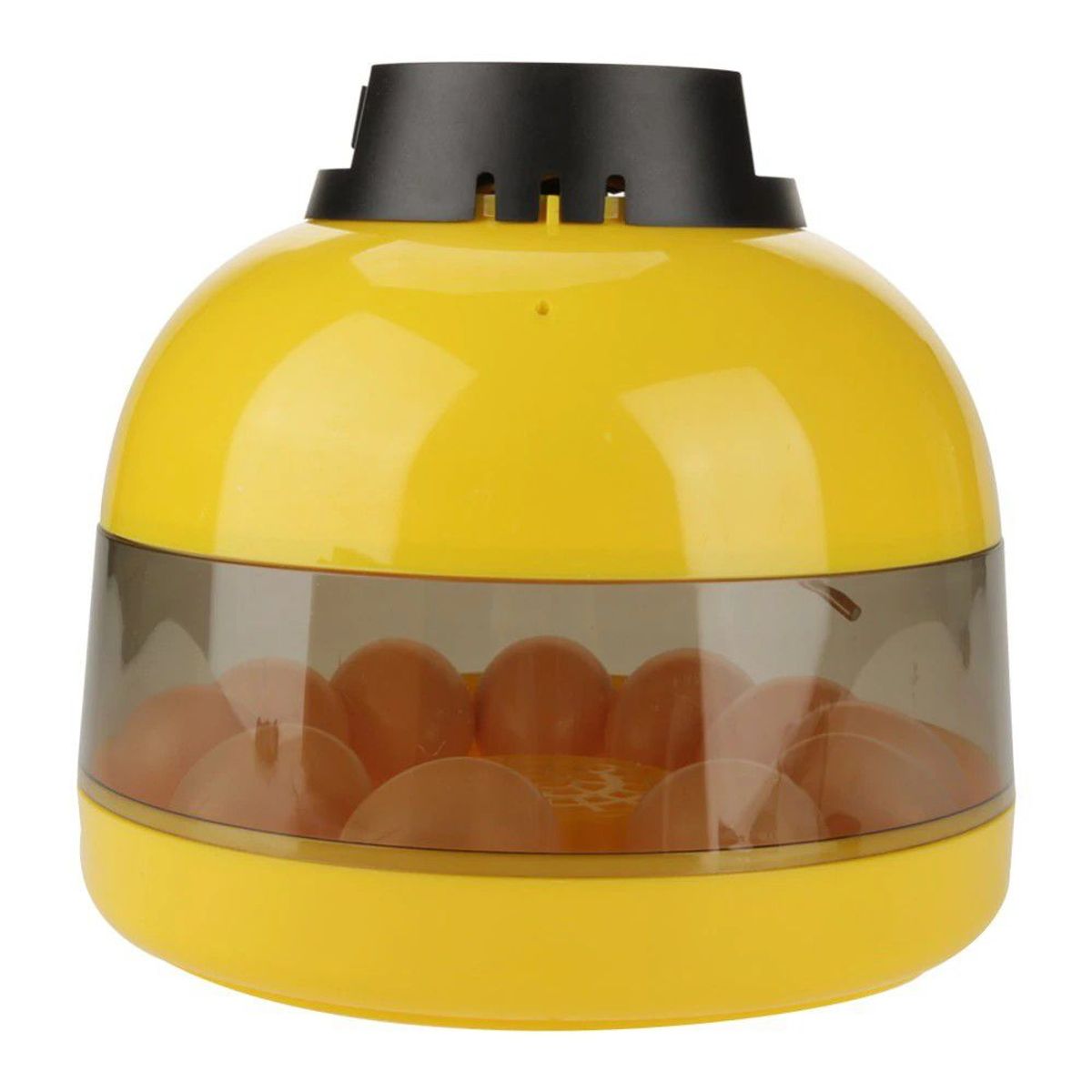 GENERICO - Mini Incubadora LED de 10 Huevos Digital LED