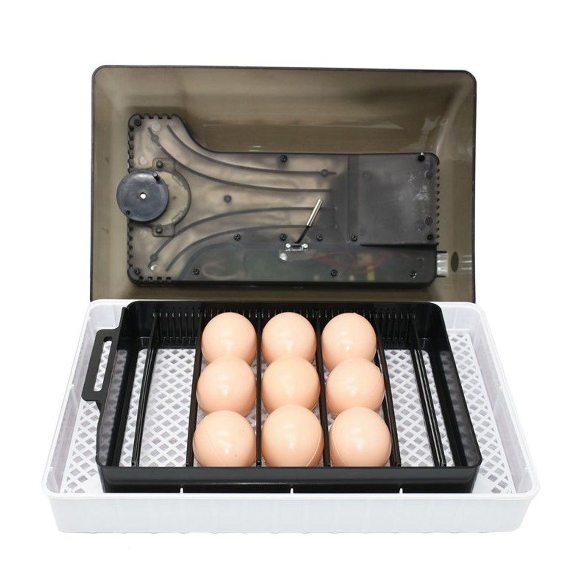 GENERICO - Incubadora Negra de 12 huevos HDD