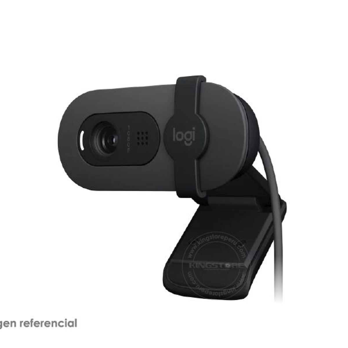 LOGITECH - Camara Web Logitech BRIO 100 FHD 1080P USB-A Grafito