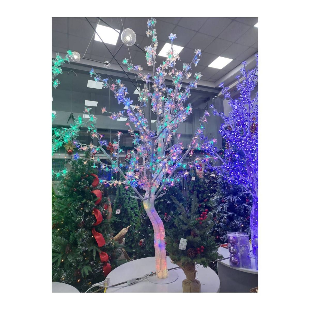 GENERICO - Árbol de Navidad bonsai con luz LED multicolor