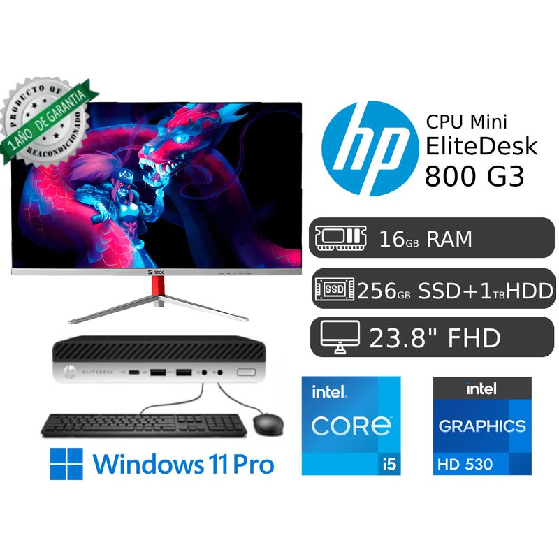 HP - CPU HP EliteDesk Mini 800 Intel Core i5 16GB RAM 256GB SSD + 1TB HDD Monitor Led 23.8"