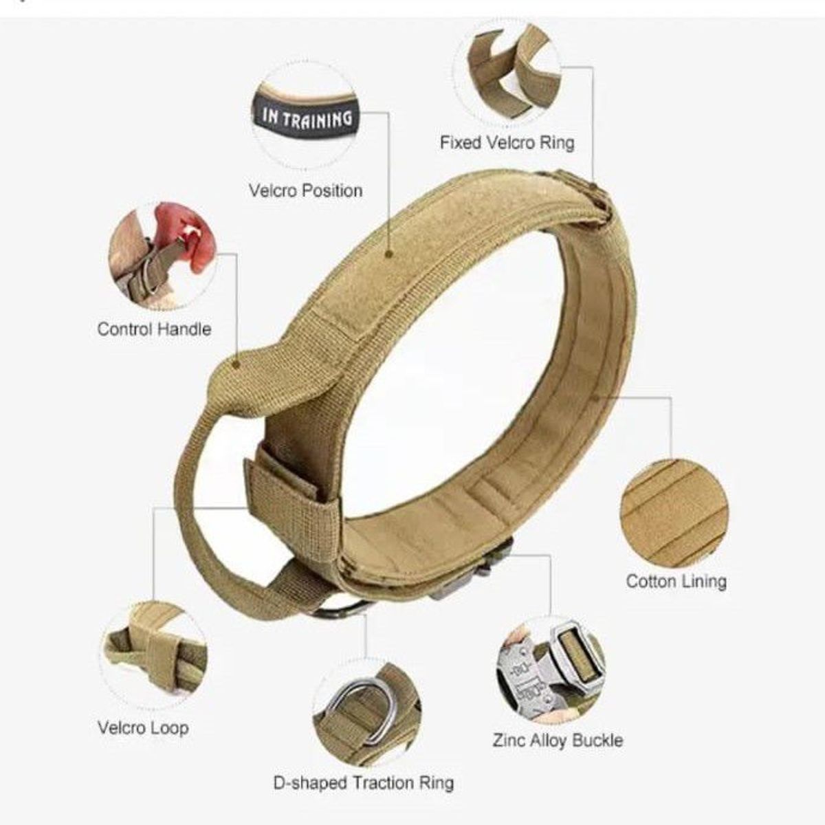 GENERICO - Collar ajustable + correa para perro  caqui  Talla M