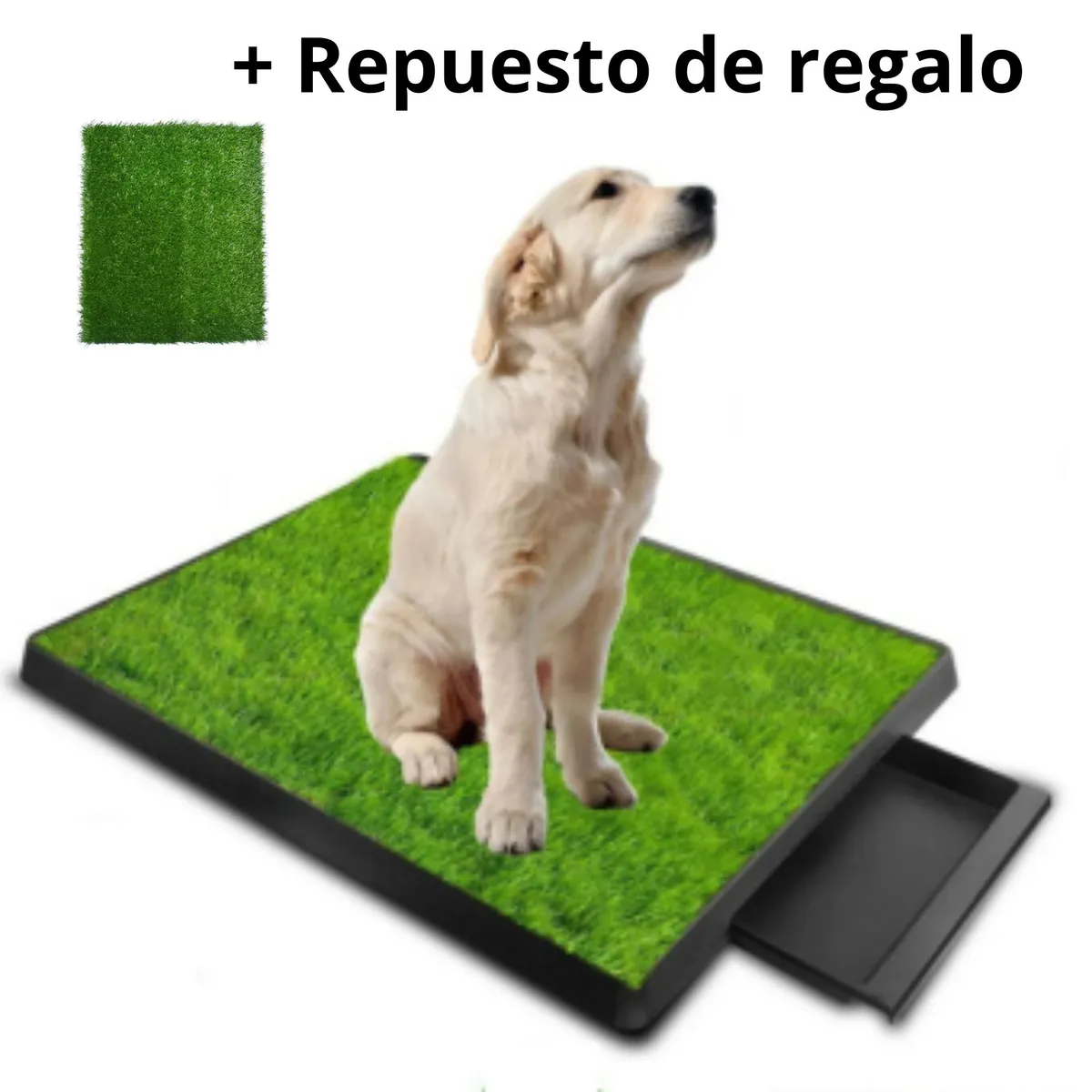 GENERICO - BAÑO PORTATIL ECOLOGICO GRANDE - INCLUYE REPUESTO