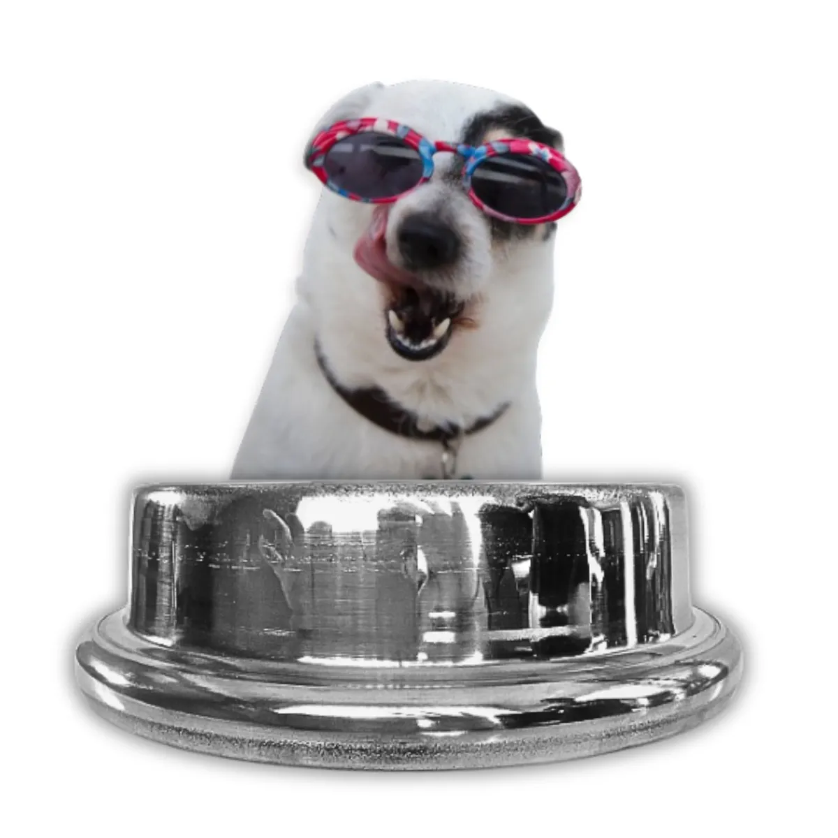 GENERICO - PLATO DE ALUMINIO PARA MASCOTA PERRO