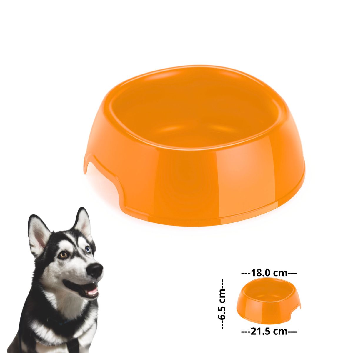 GENERICO - PLATO PARA MASCOTA ESTAMPADO PERRO ANARANJADO