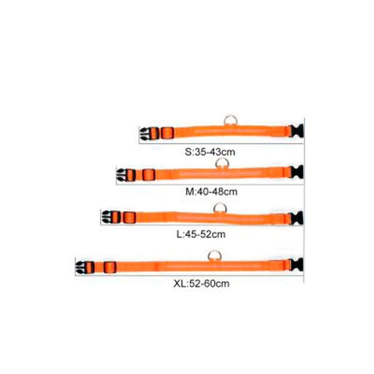 QUE PATAS PET SHOP - Collar LED para Mascotas Celeste Talla XL