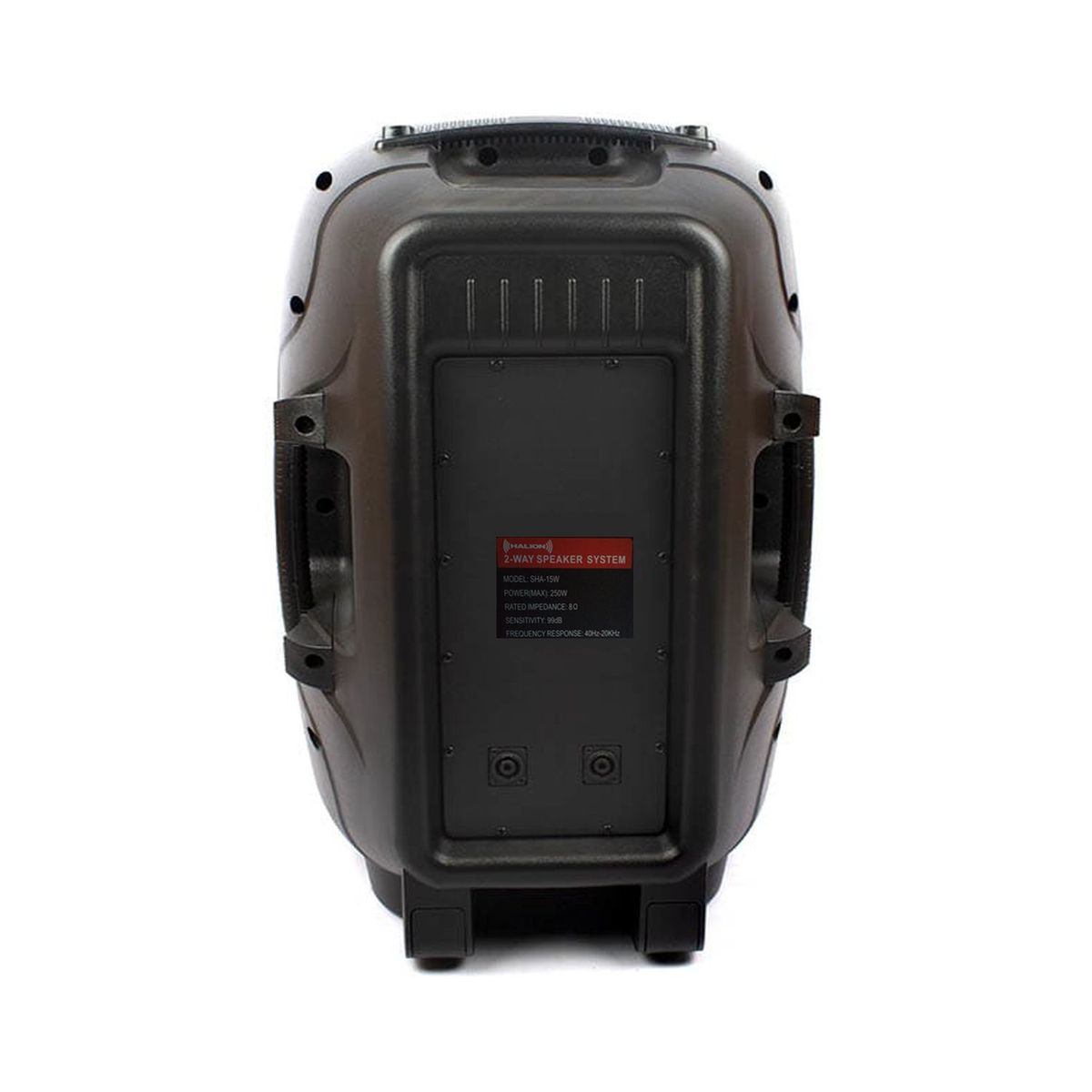 HALION - Parlante Pasivo Halion SHA-15W 15 pulgadas 250 watts