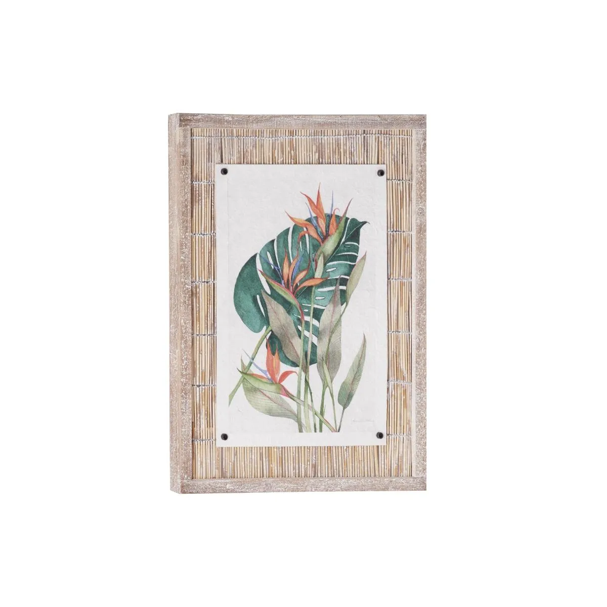 GENERICO - Arte Tropical Natural