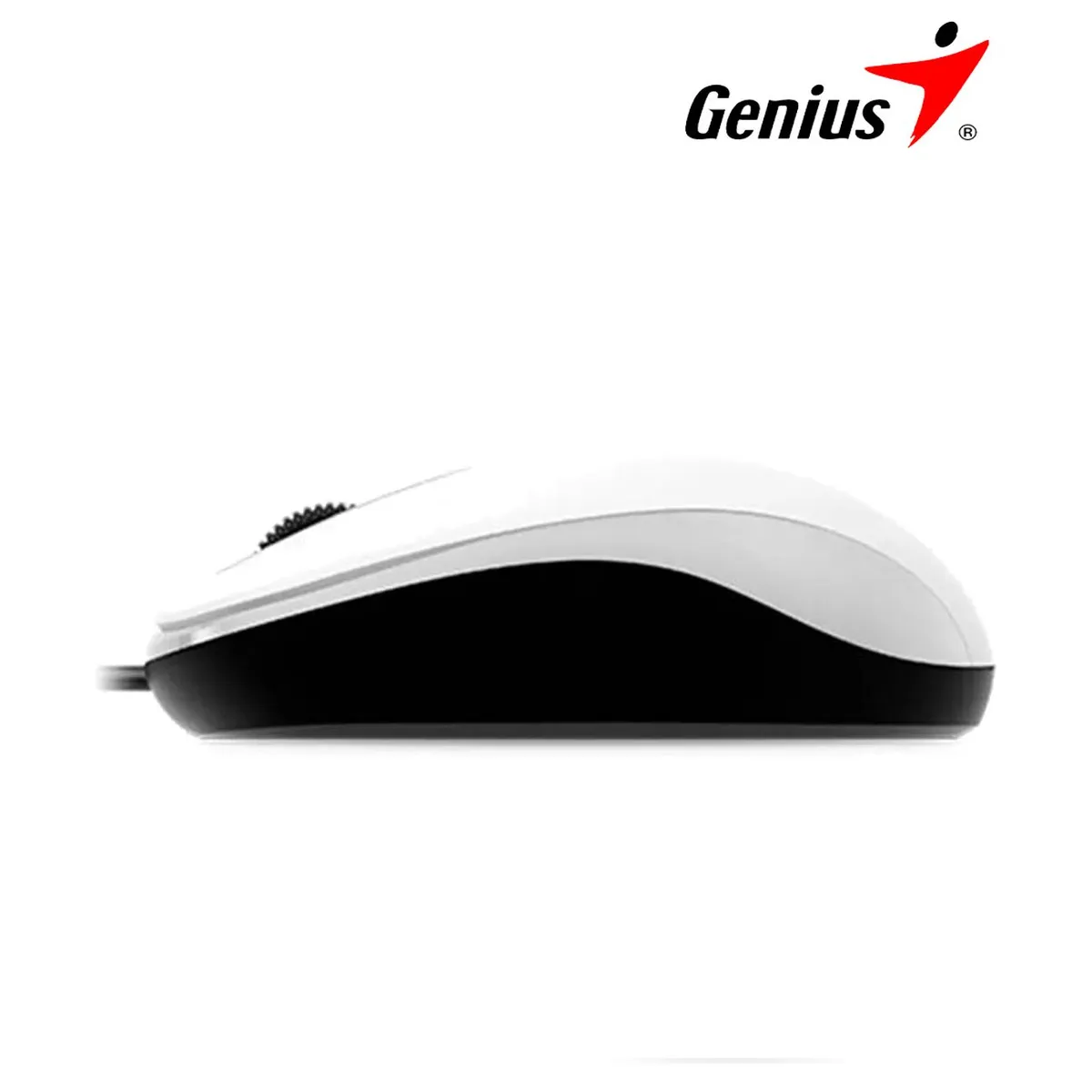GENIUS - Mouse Optico Genius Dx110 Blanco