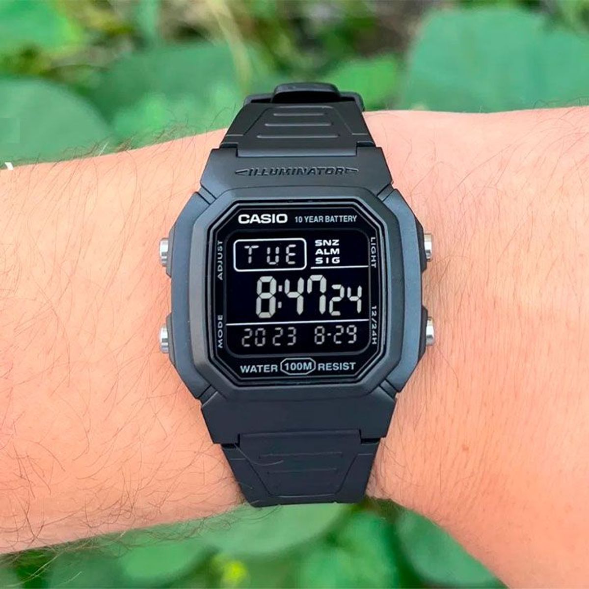 CASIO - Reloj Casio W-800H-1BV