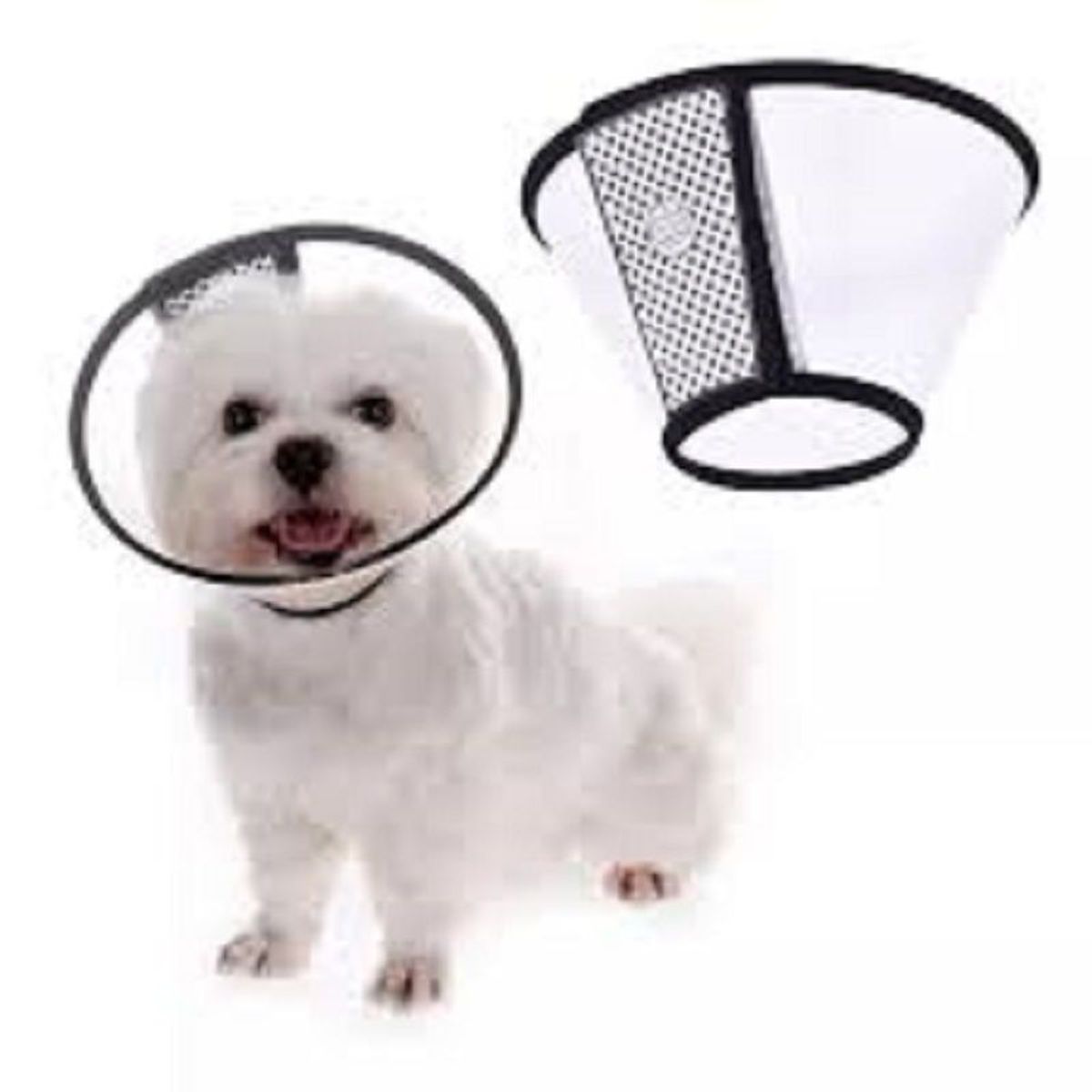 GENERICO - COLLAR ISABELINO AJUSTABLE CON PEGA PEGA 15-21cm RAZAS PEQ