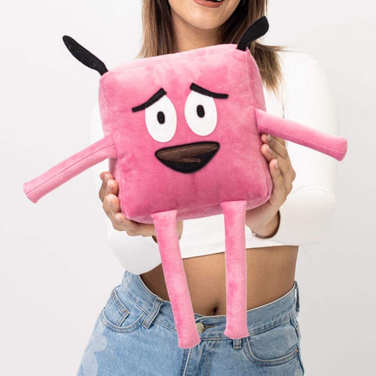 GENERICO - Perro dibujo peluche