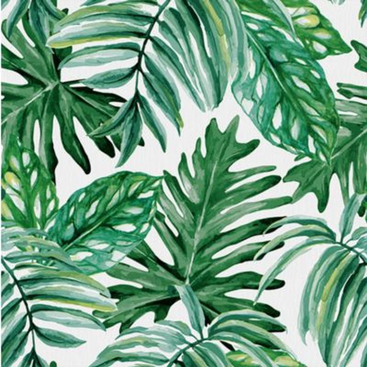 GENERICO - PAPEL TAPIZ HOJAS TROPICALES 0.53 X 10 M PARA PARED COD D-14