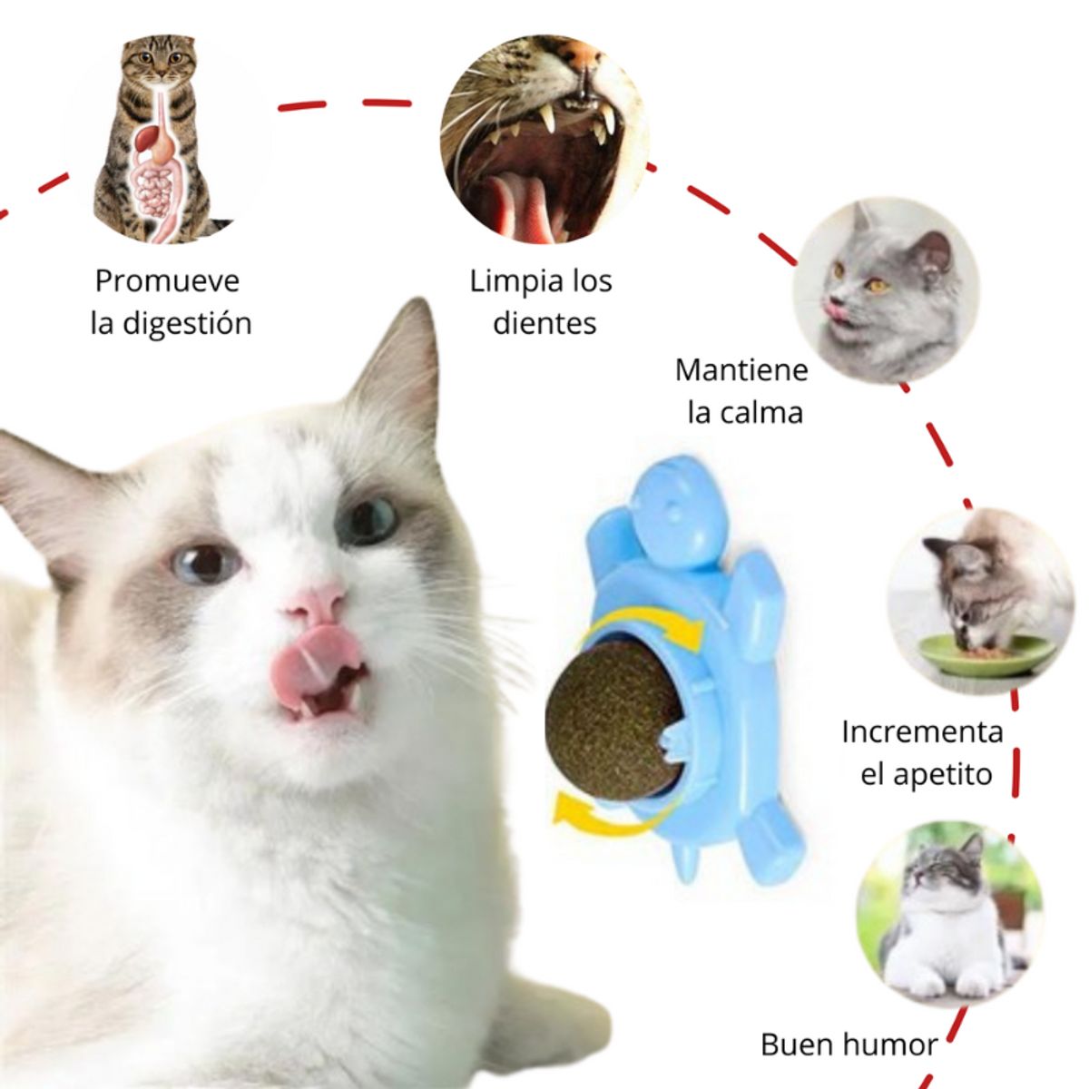 GENERICO - JUGUETE CATNIP TORTUGA CELESTE