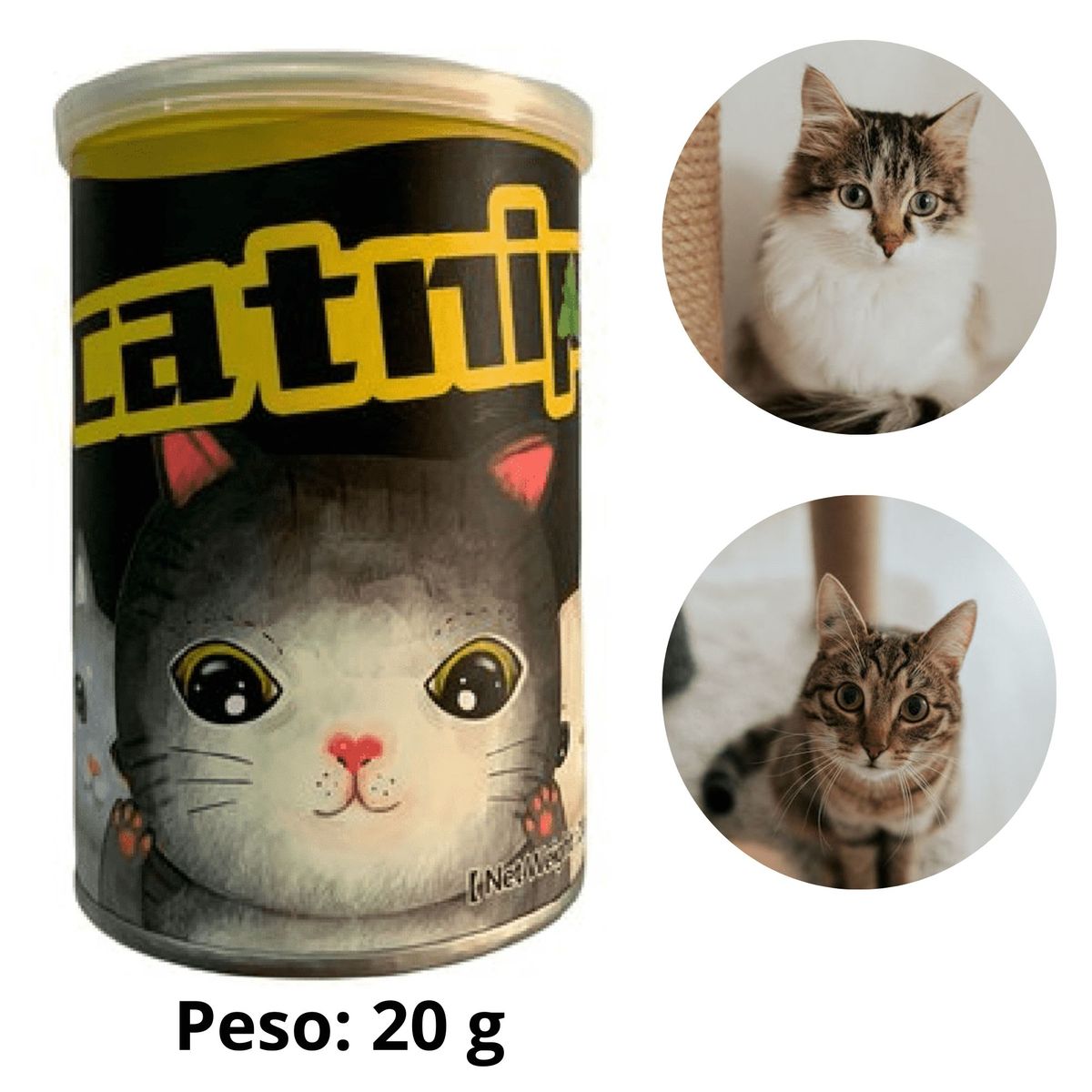 GENERICO - CATNIP PARA GATO EN LATA x 20 g.