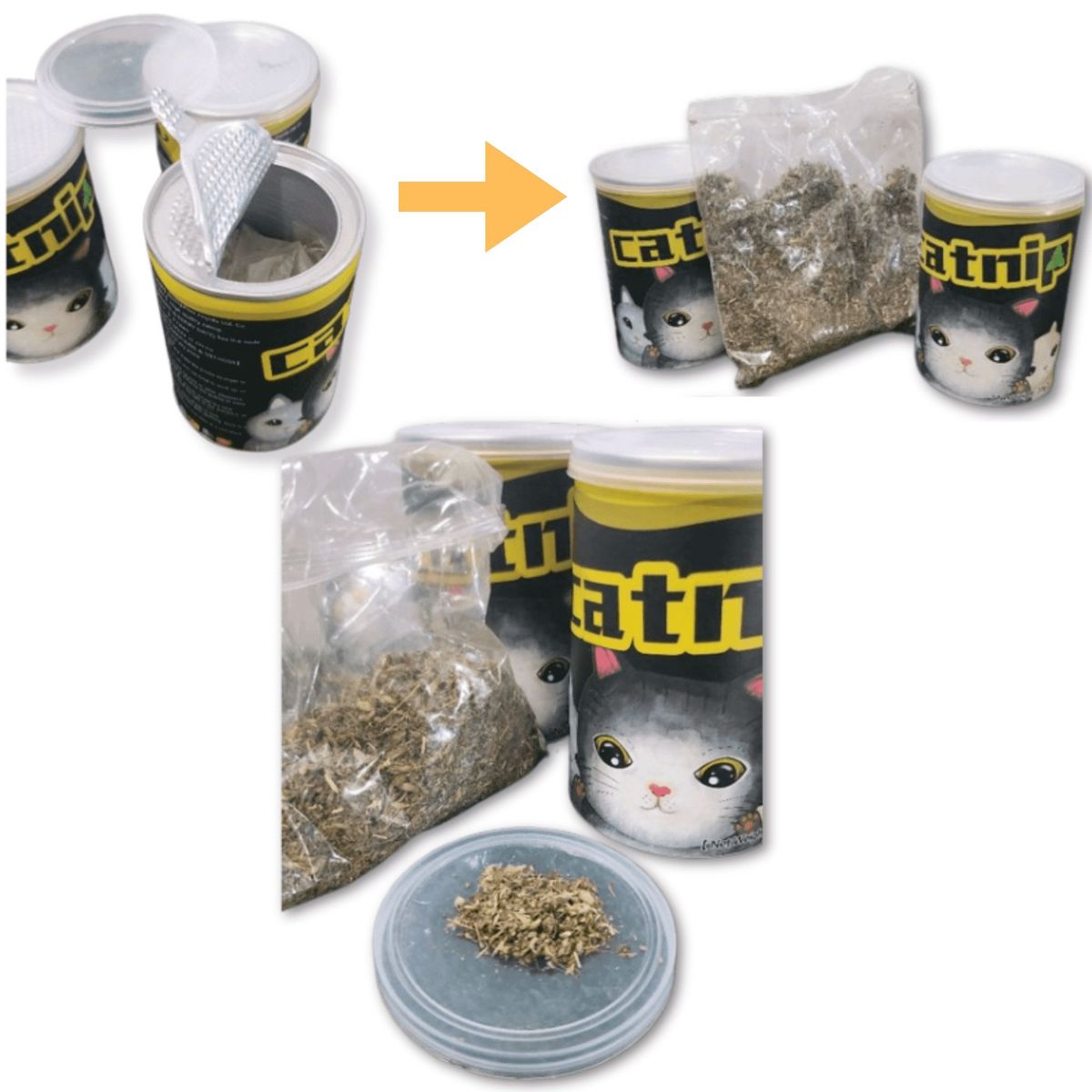 GENERICO - CATNIP PARA GATO EN LATA x 20 g.