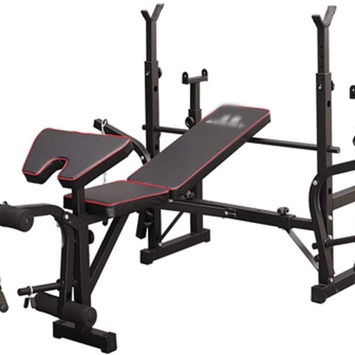 Alpha Gym - Banco para pesas de doble rack y predicador Mini gym