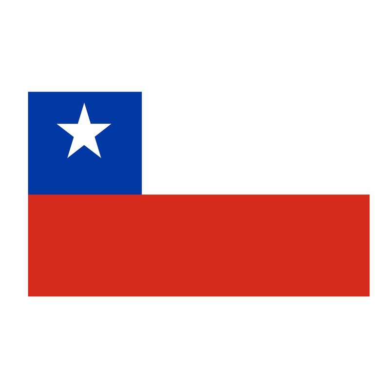GENERICO - Bandera De La republica de Chile 60 Cm X 90cm calidad A1