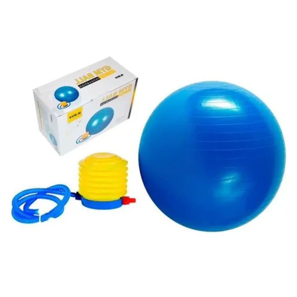 ALPHA GYM - Pelota para yoga y pilates  Inflador 75cm fitness