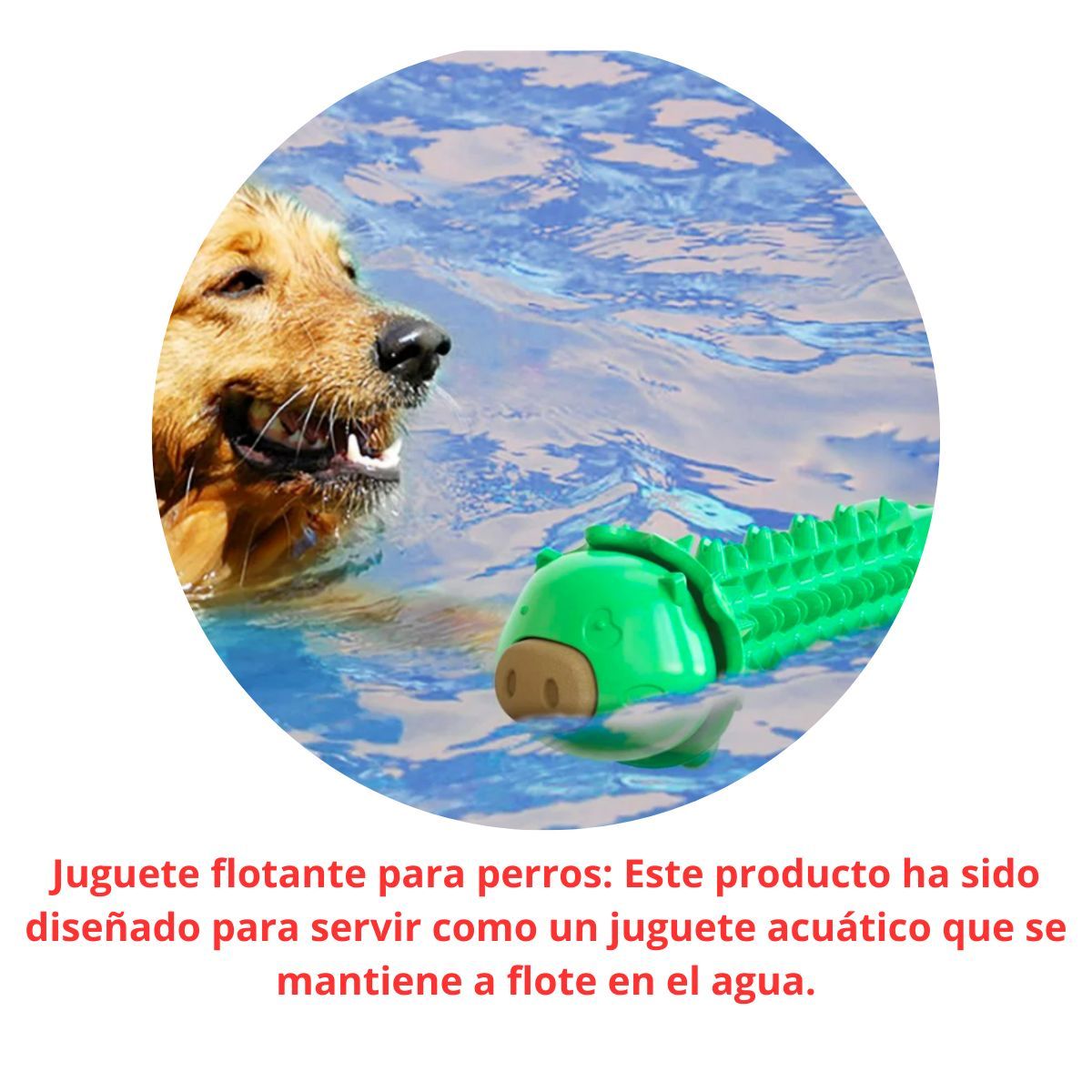 GENERICO - Juguete Masticable Para Perros - Cerdito Verde