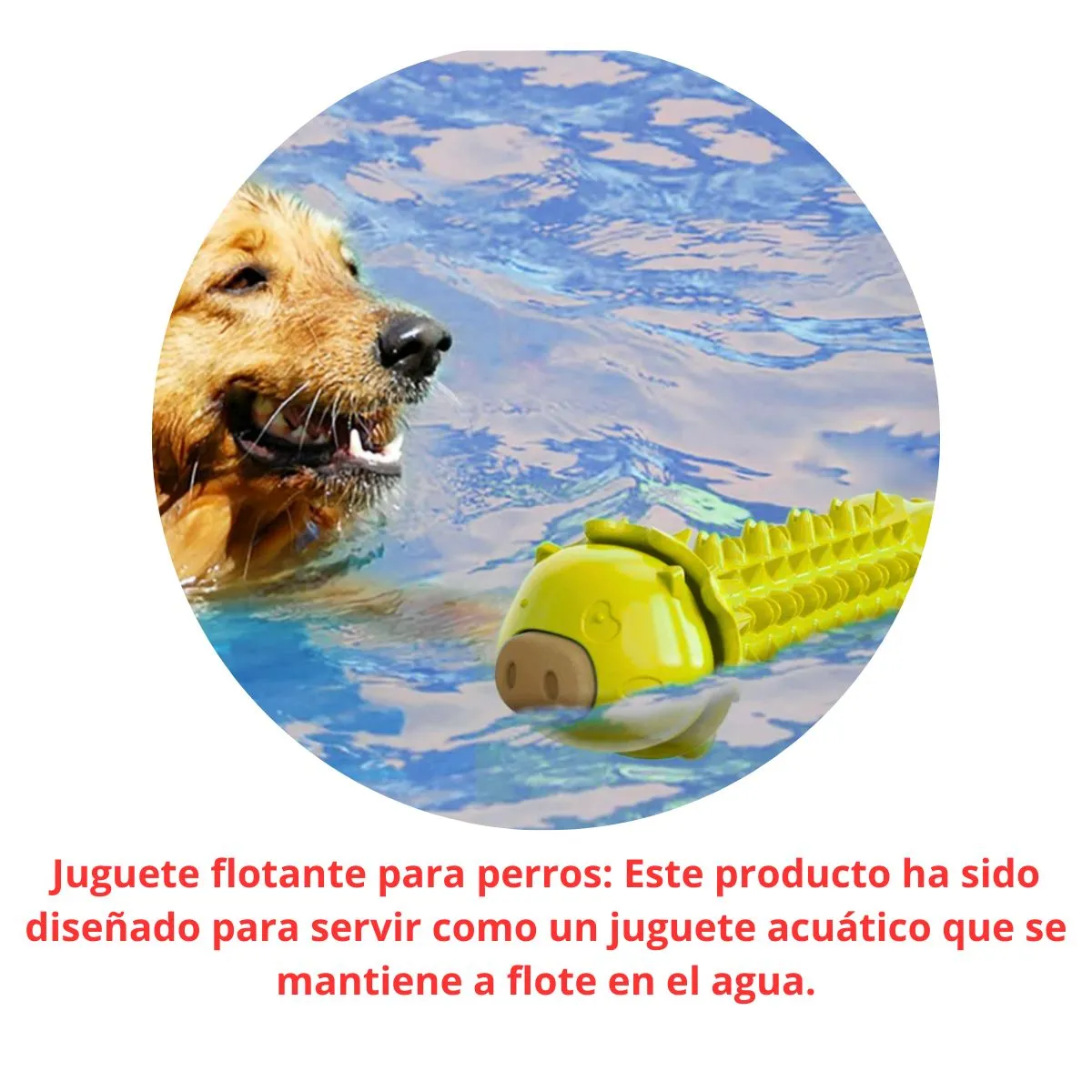 GENERICO - Juguete Masticable Para Perros - Cerdito Amarillo
