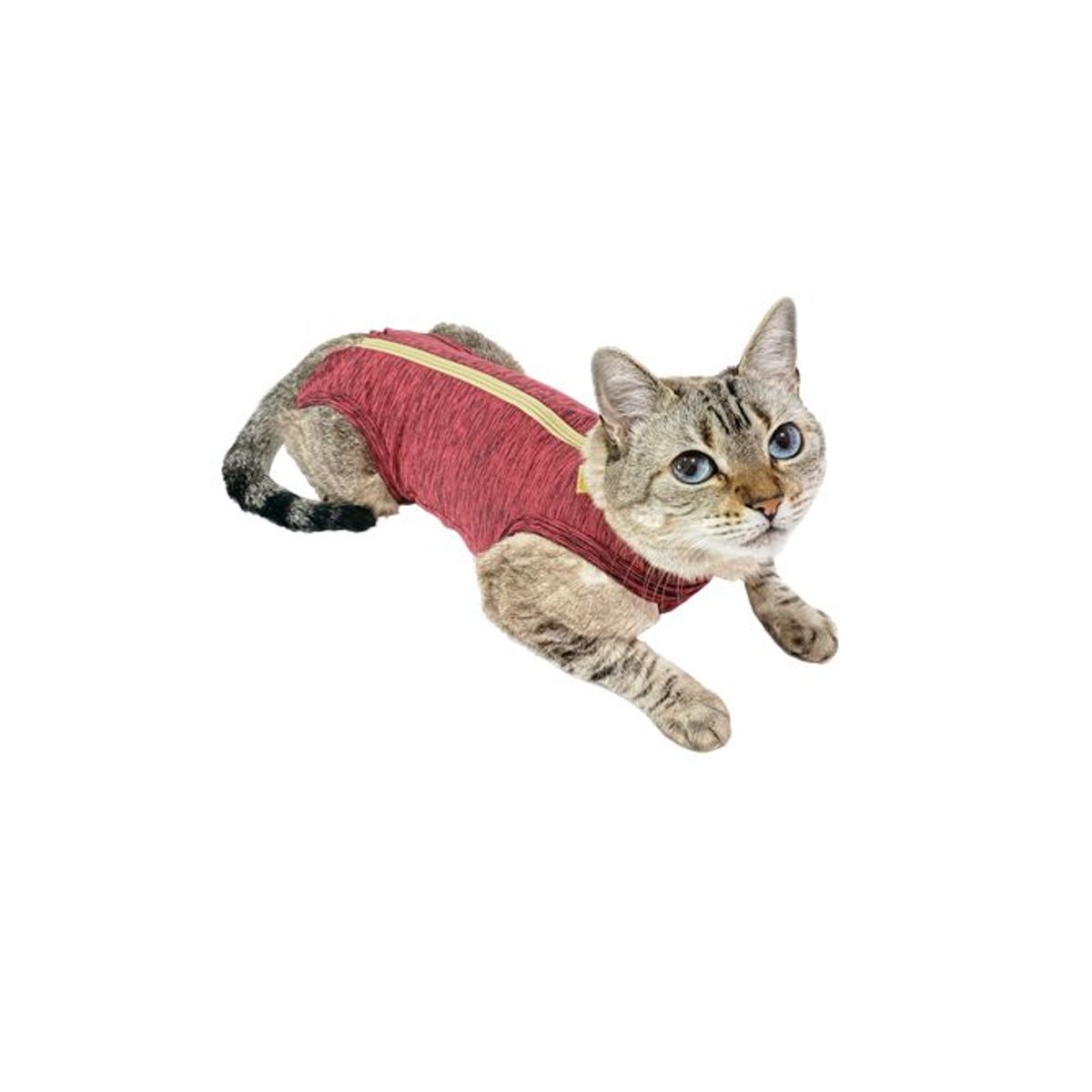 GENERICO - Faja Post Operatoria para mascota Talla 1 Hembra