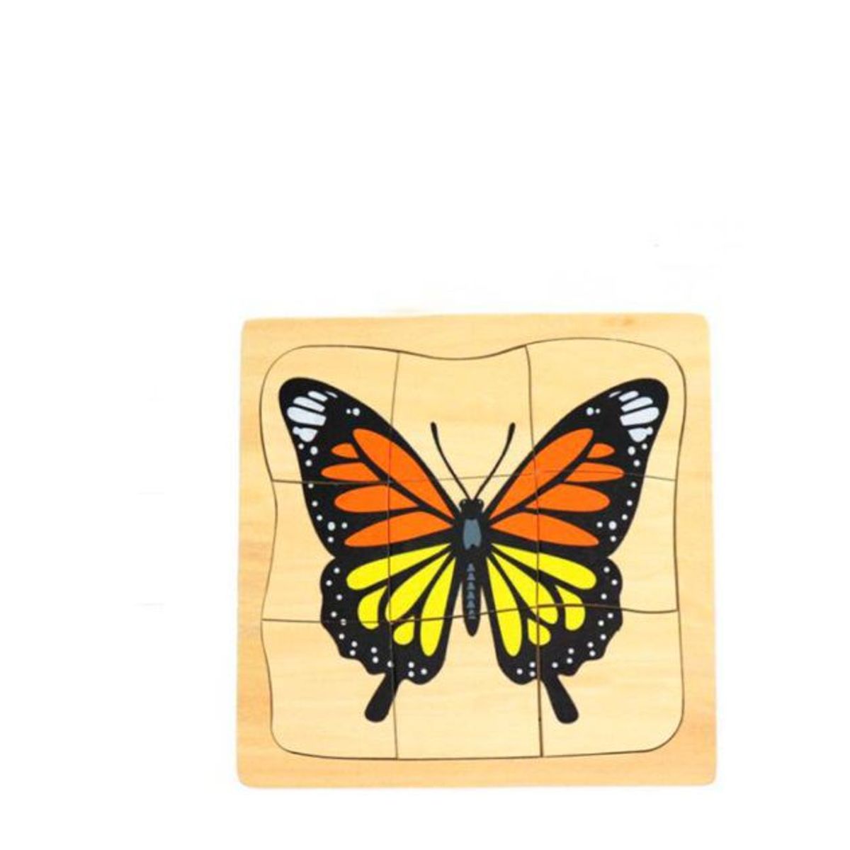 GENERICO - Rompecabezas Evolutivo de Madera