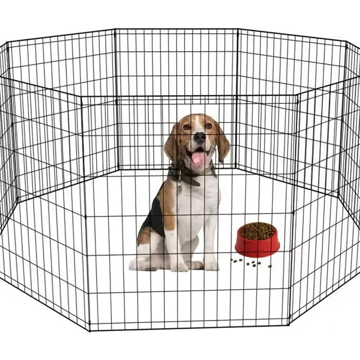 GENERICO - CORRAL REJA DE ENTRENAMIENTO PARA MASCOTAS PEQUEÑAS PERROS