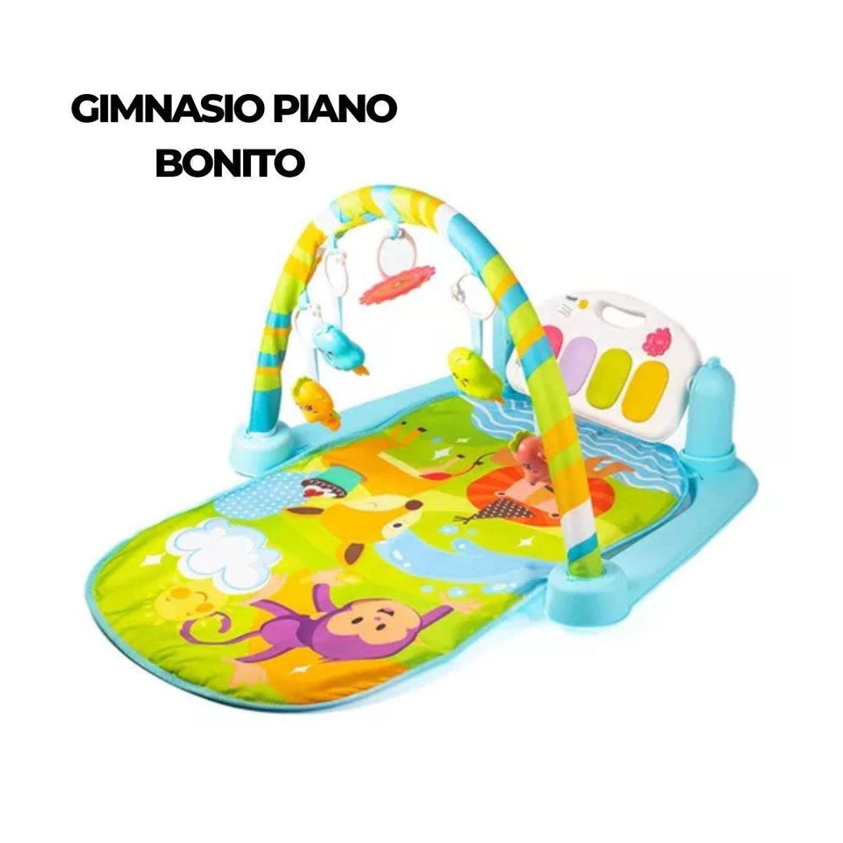 GENERICO - GIMNASIO PIANO MONITO