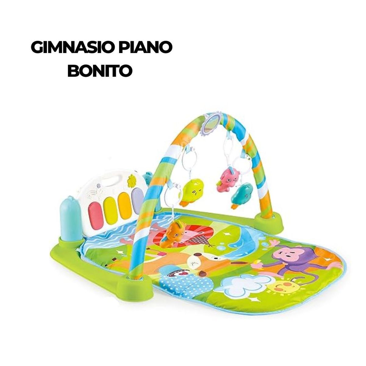GENERICO - GIMNASIO PIANO MONITO