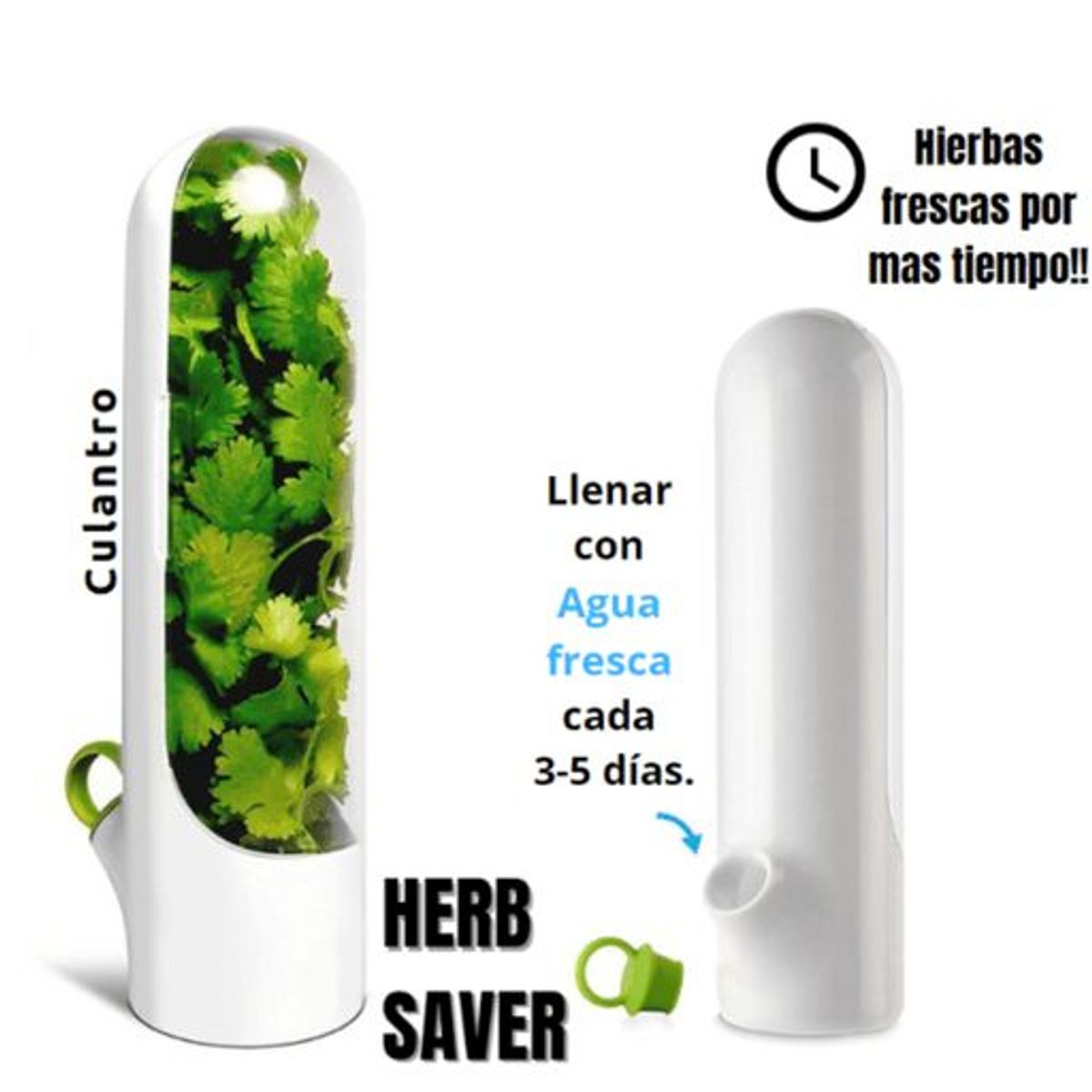 GENERICO - Conservador de hierbas verduras frescas mas tiempo Herb Saver