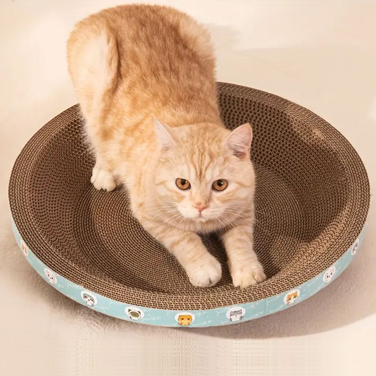 GENERICO - Rascador para Gatos Juguete Circular 40x40cm