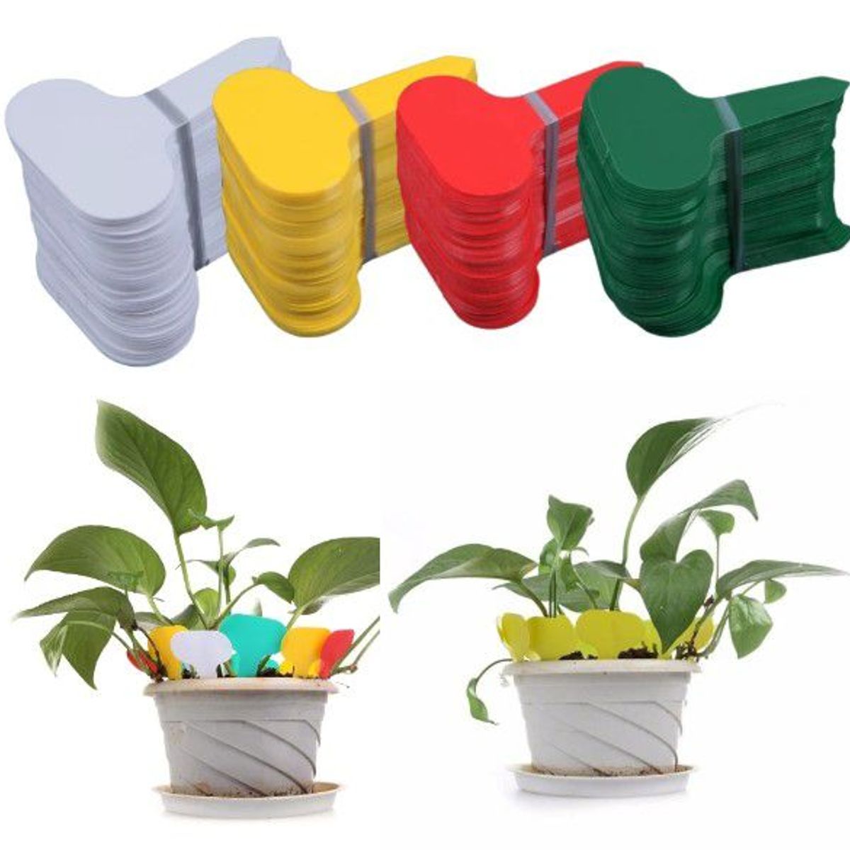 GENERICO - Etiqueta De Clasificación Para Plantas x Cien Unidades 5x7 cm