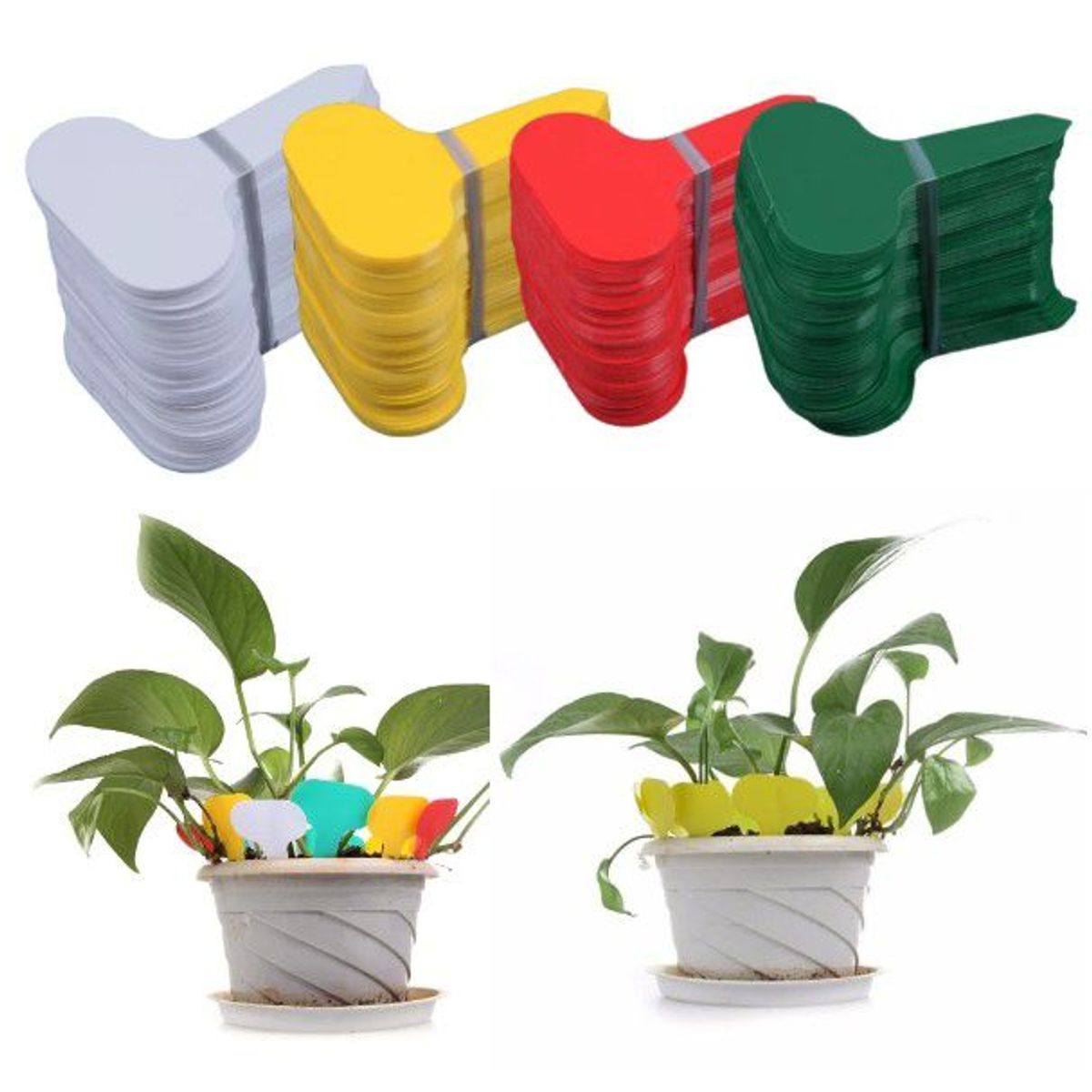 GENERICO - Etiqueta De Clasificación Para Plantas x Cien Unidades 5x7 cm