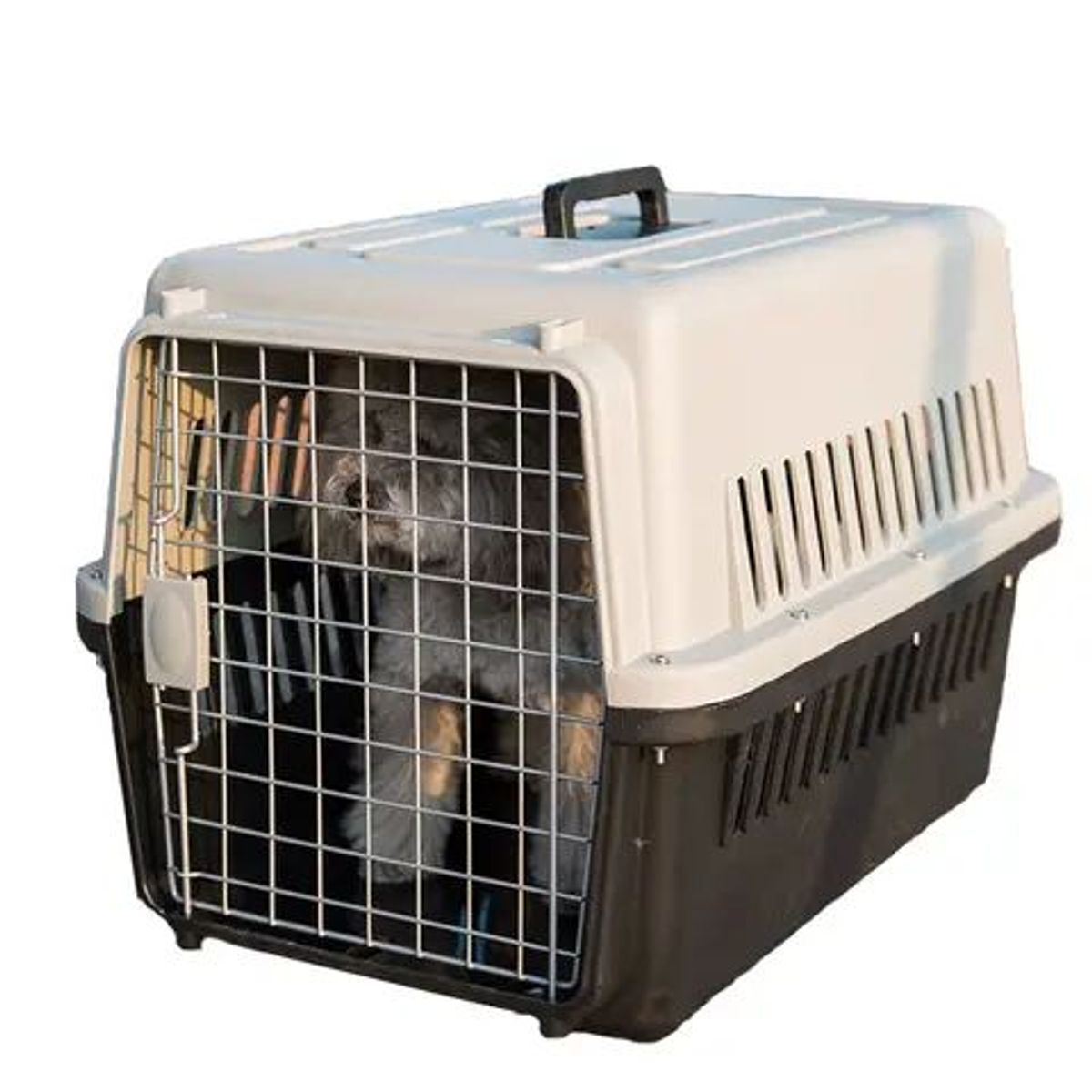 GENERICO - TRANSPORTADOR KENNEL L70 DOBLE PISO Y PLATO COLGANTE