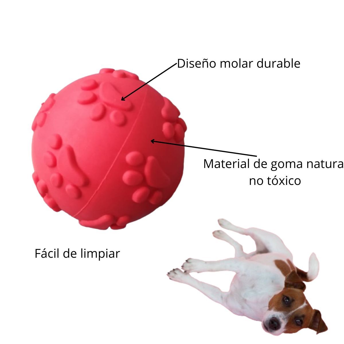 GENERICO - Pelota de Jebe para Perros Huellita Color ROJO