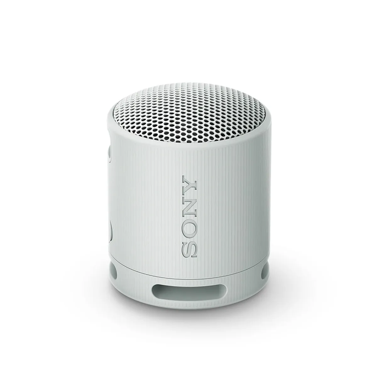 SONY - Sony Parlante inalámbrico portátil SRS-XB100 Gris