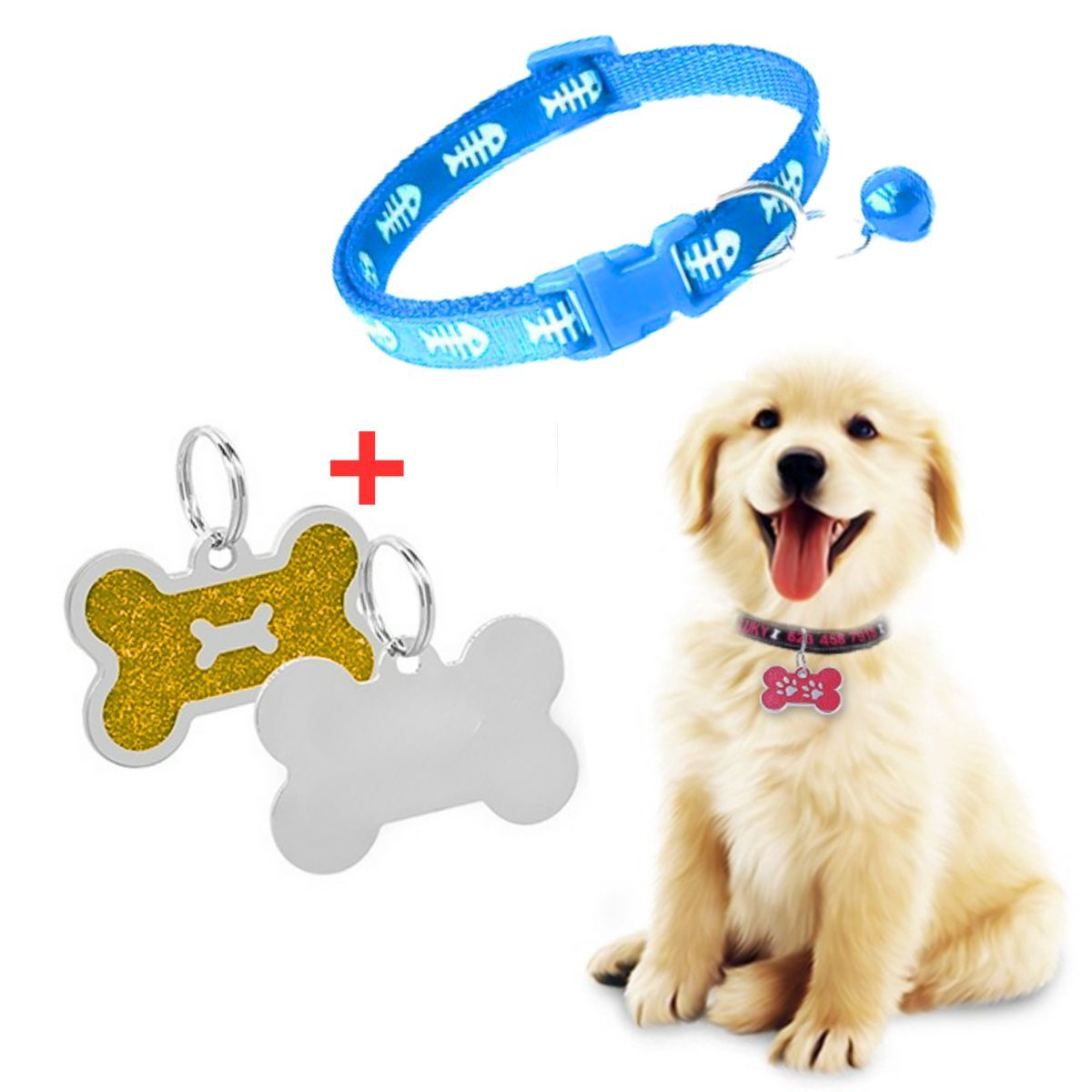 GENERICO - PLACA Y COLLAR PARA MASCOTAS CON CASCABEL - GOLD y CELESTE