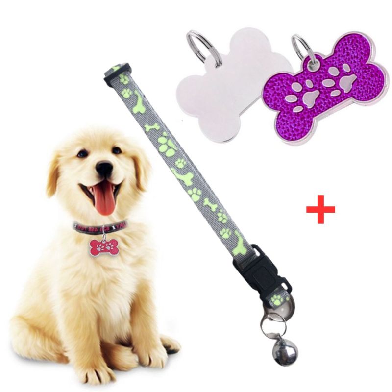 GENERICO - PLACA Y COLLAR PARA MASCOTAS CON CASCABEL - FUCSIA y PLOMO