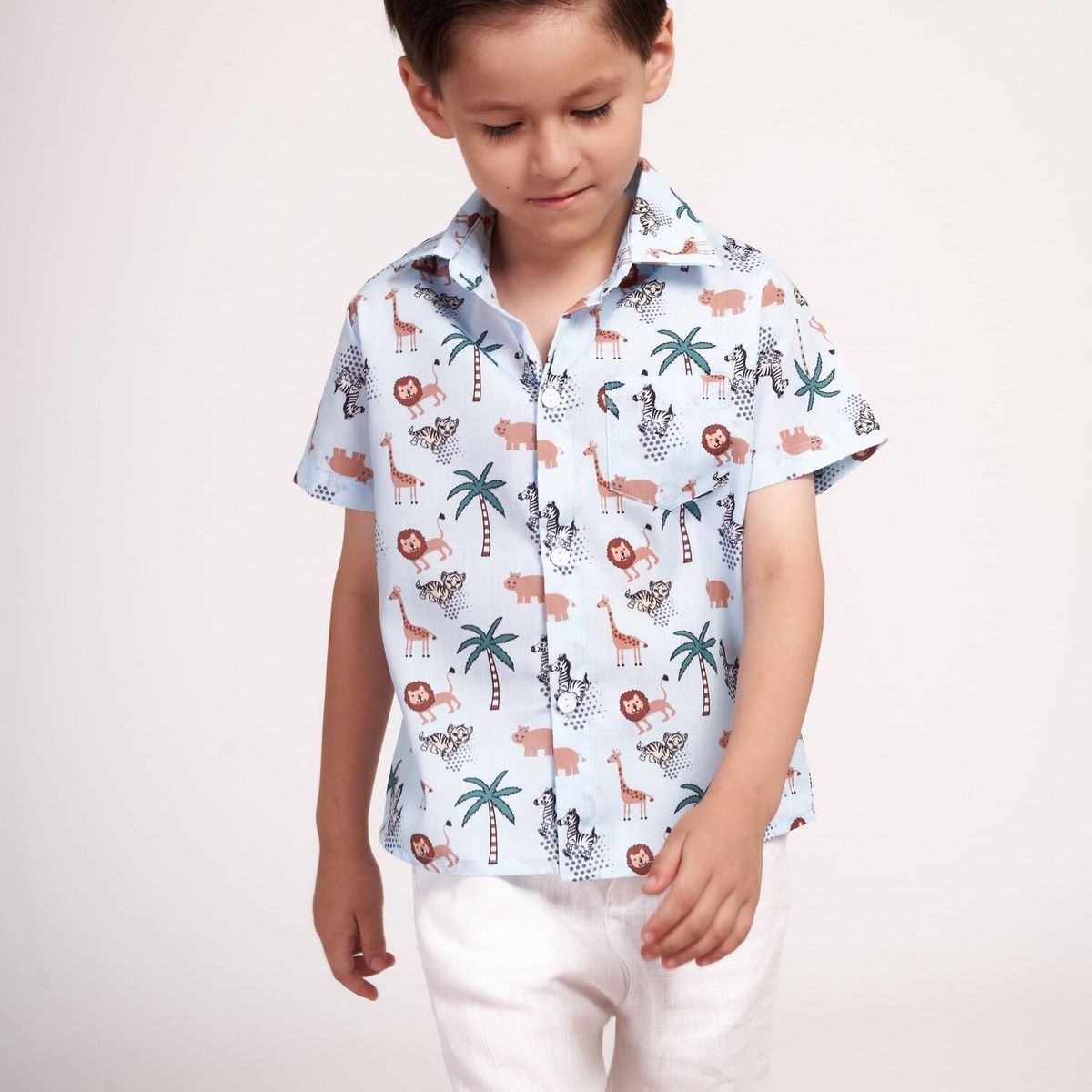 GENERICO - Camisa tropical celeste