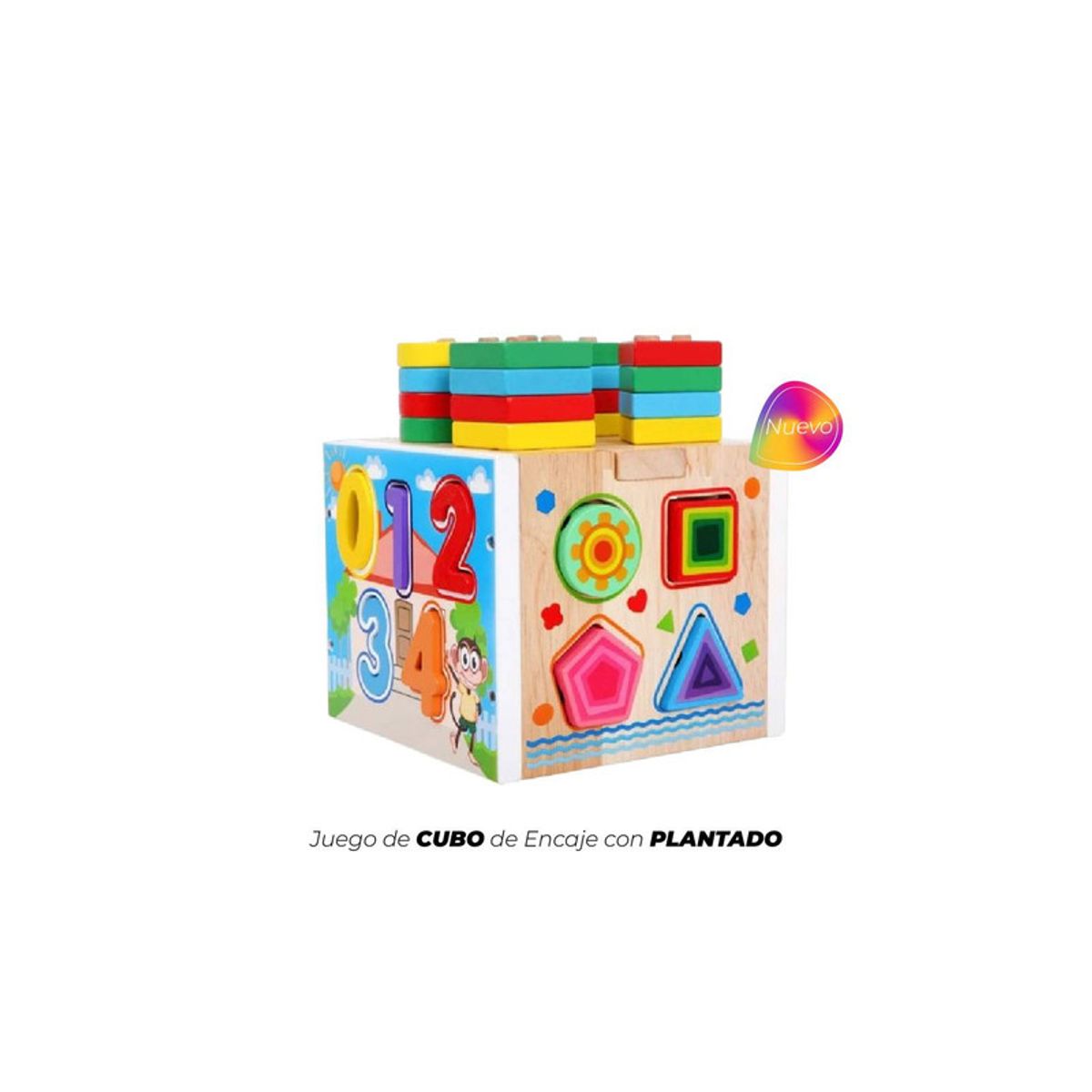 GENERICO - CUBO DE ENCAJE CON PLANTADO